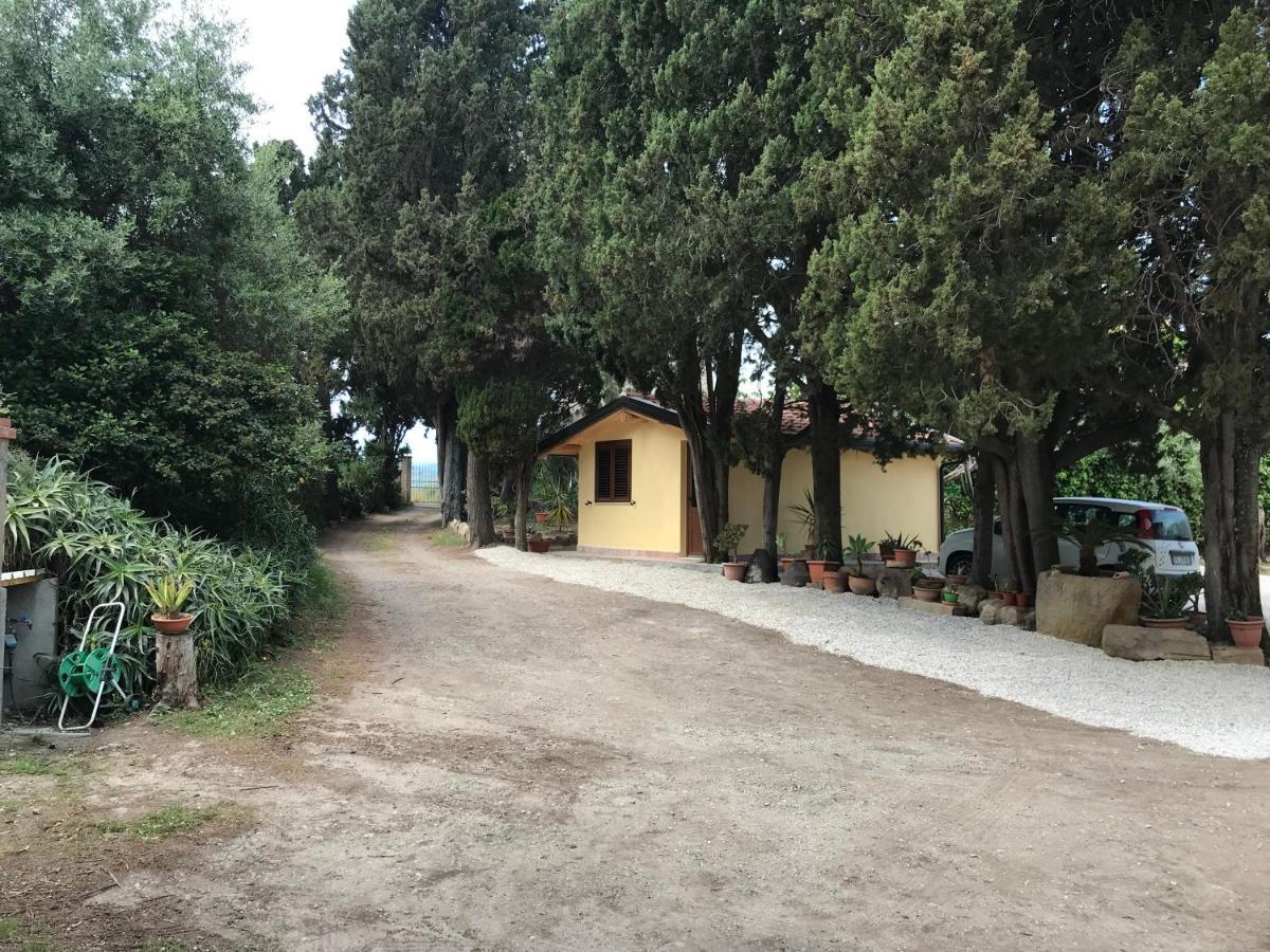 A Casa Di Peppino Villa Greco Тіндарі Екстер'єр фото